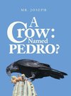A Crow Named Pedro