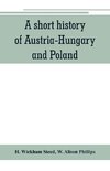 A short history of Austria-Hungary and Poland