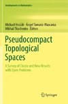 Pseudocompact Topological Spaces
