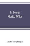 In lower Florida wilds; a naturalist's observations on the life, physical geography, and geology of the more tropical part of the state