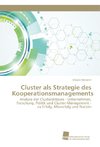 Cluster als Strategie des Kooperationsmanagements