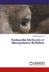 Pasteurella Multocida in Mesopotamia Buffaloes