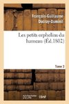 Les petits orphelins du hameau.Tome 3,Edition 2