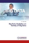 Big Data Analytics on Variety of Big Data