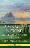 A Miracle in Stone