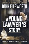 A Young Lawyer's Story