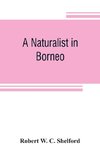 A naturalist in Borneo