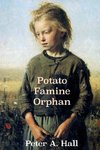 Potato Famine Orphan