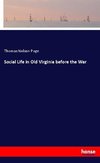 Social Life in Old Virginia before the War