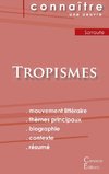Fiche de lecture Tropismes de Nathalie Sarraute (Analyse littéraire de référence et résumé complet)