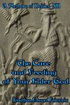 The Care and Feeding of Your Elder God