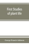 First studies of plant life
