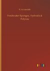 Freshwater Sponges, Hydroids & Polyzoa