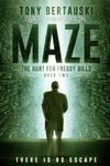 Maze (Large Print Edition)