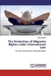 The Protection of Migrants Rights under International Law