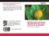 Estudio del desarrollo de Fusarium sp. en el cultivo de granadilla