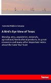 A Bird's Eye View of Texas