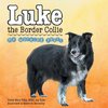 Luke the Border Collie