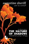 The Nature of Shadows