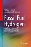 Fossil Fuel Hydrogen