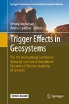 Trigger Effects in Geosystems