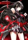 Akame ga KILL! ZERO - Band 10 (Finale)