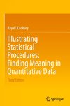 Illustrating Statistical Procedures: Finding Meaning in Quantitative Data