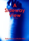 A Sideway View [2nd Edition]