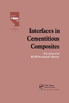 Interfaces in Cementitious Composites