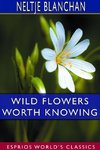 Wild Flowers Worth Knowing (Esprios Classics)