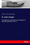 St. John's Gospel