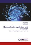 Human brain, evolution and nutrition