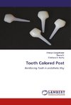 Tooth Colored Post
