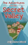 The Adventures in the Secret Valley