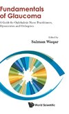 Fundamentals of Glaucoma