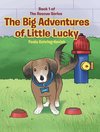 The Big Adventures of Little Lucky