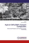 Hybrid CNTs/GNPs Cement Composites