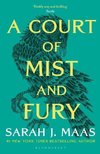 A Court of Mist and Fury. Acotar Adult Edition