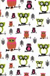Owl Lovers Notebook