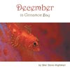 December in Cinnamon Bay