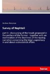 Survey of Naphtali