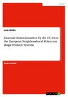 External Democratization by the EU. How the European Neighbourhood Policy can shape Political Systems