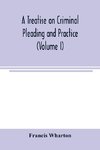 A treatise on criminal pleading and practice (Volume I)