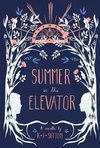 Summer in the Elevator