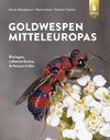 Die Goldwespen Mitteleuropas