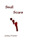 Small Scars