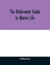 The underwater guide to marine life