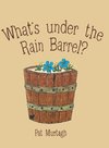 What's Under the Rain Barrel?