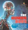 The Human Body | Organs and Organ Systems Books | Science Kids Grade 7 | Children's Biology Books