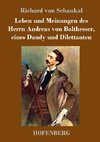 Leben und Meinungen des Herrn Andreas von Balthesser, eines Dandy und Dilettanten